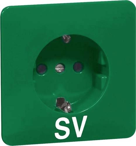 PEHA by Honeywell 1fach Komplett Steckdose Grün 800611 1St.